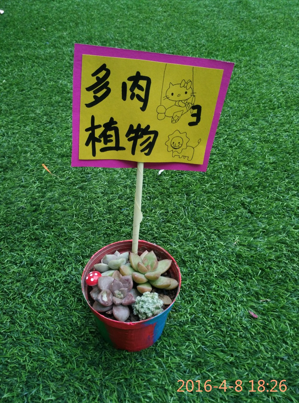 植物角小标牌