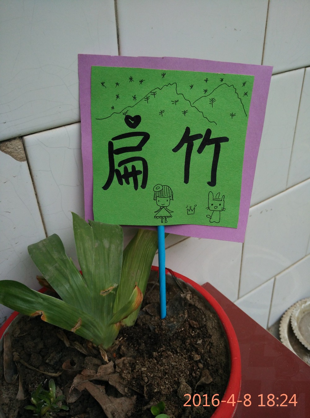 植物角小标牌