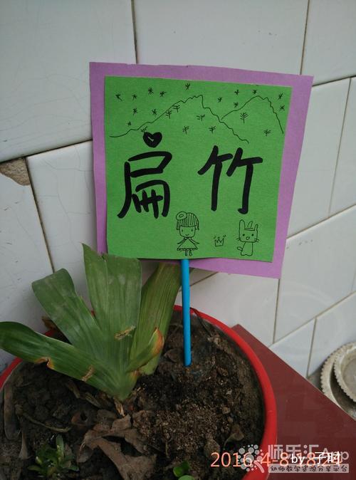 植物角小标牌——幼儿教师网_师乐汇