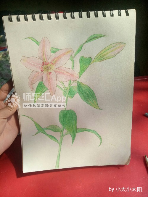 彩铅画