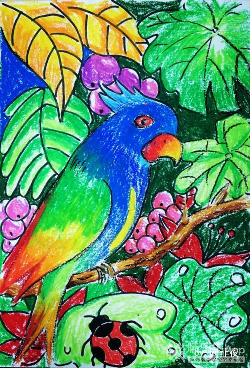 幼儿园铅笔画绘画临摹彩铅鹦鹉——师乐汇幼儿教师教育网